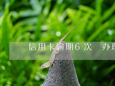 信用卡逾期6次 办理贷款 信用卡逾期6次 办理贷款